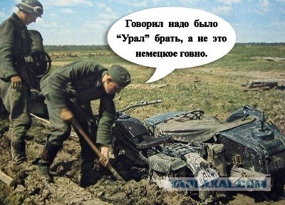 Картинки для деградации 232 (разной степени свежести)