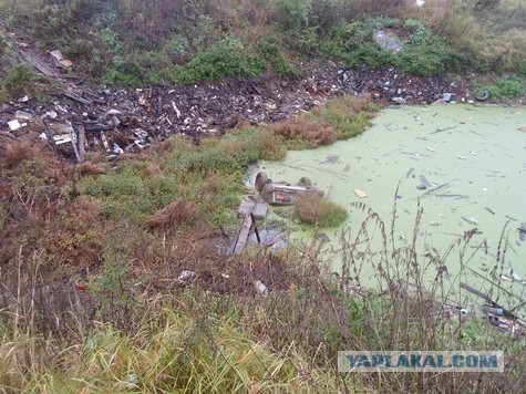 Трагедия под Волоколамском 02/05/2004-04/09/2013