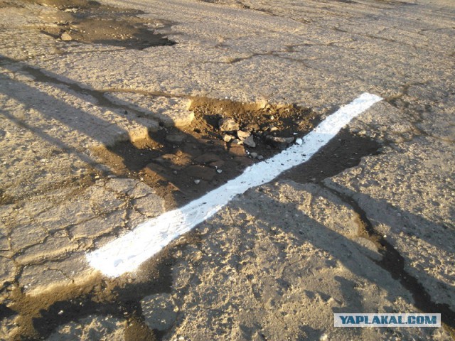 Побелили бордюры