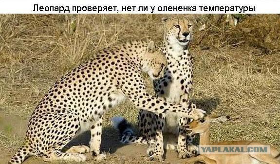 Двойные стандарты!