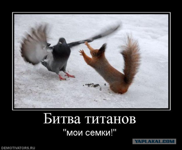 Весёлые картинки. Разбавим будни