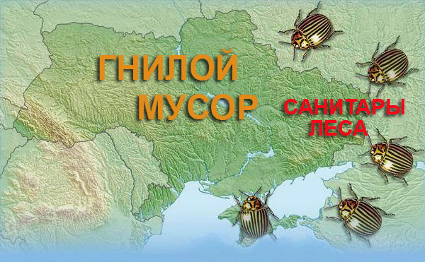Украинская армия штурмует аэродром в Краматорске!