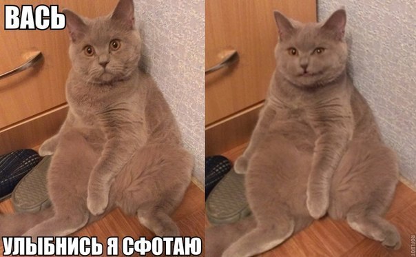 Веселые картинки № х/з