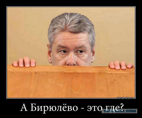 Кто в Москве хозяин?