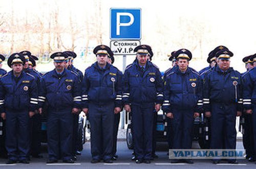 "Снегири не гири"(с)