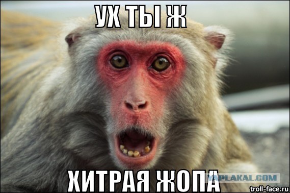 Шведская семья