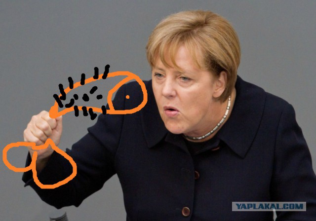 WSJ: Меркель выдвинула Путину ультиматум