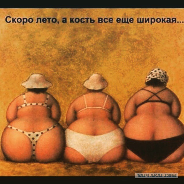 Забавные картинки из сети