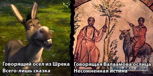Как выглядит "выбор" курса по основам религии