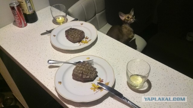 Мясо с кровью