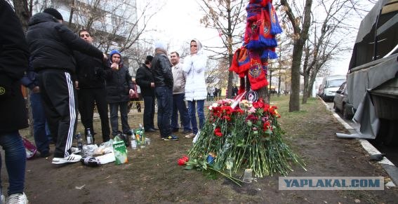 Пьяная ТП сбила людей