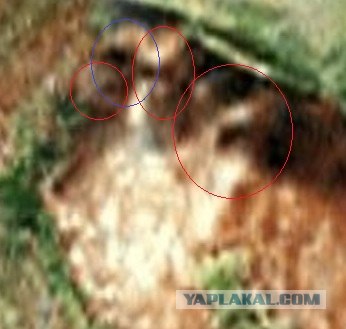 Секреты Google: 23 места, которые запрещены