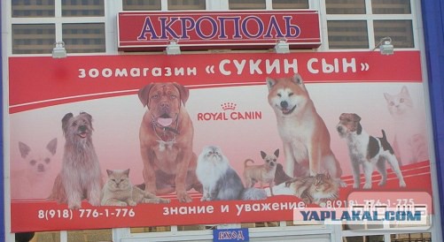 Веселые картинки