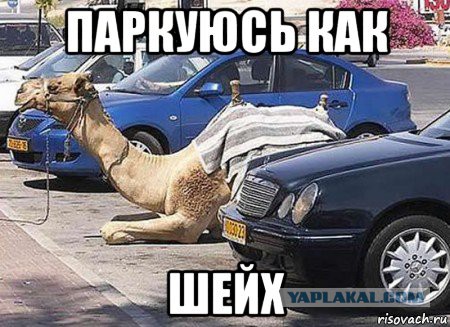 Я паркуюсь как хочу