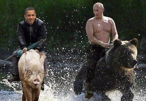 Пучок смешных картинок