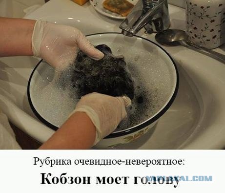 Страшные картинки