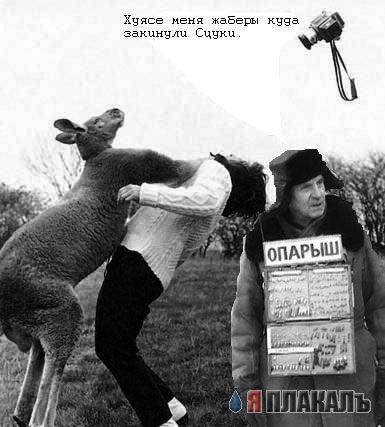Фотожаба: Продаю матыля
