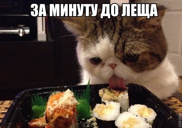 Мохнатые беспредельщики