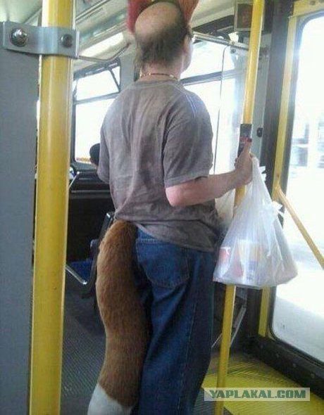 Ну гребаный стыд!