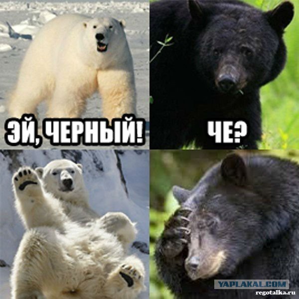 Шуточки от весёлого повара