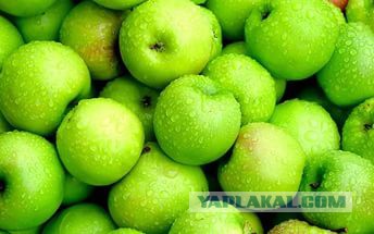 Тещины яблоки или месть должна подаваться с огорода