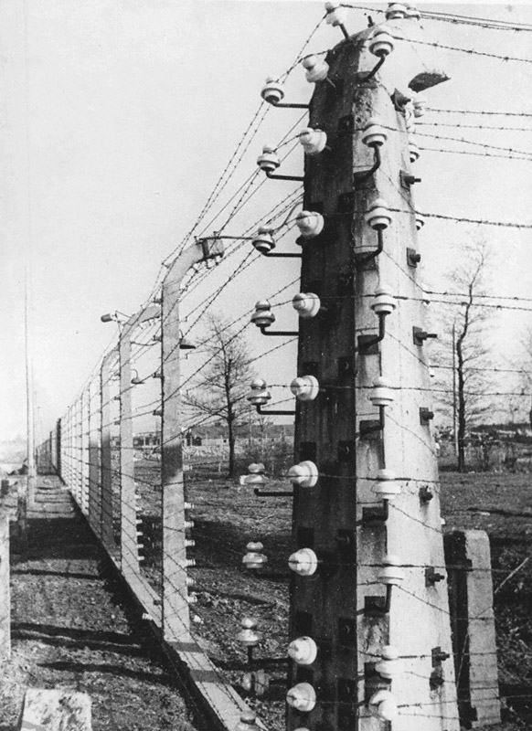 Фотографии к "Нахальному минированию" и "Лехе"