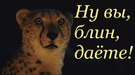 Кто как считает, правильно написано? Интересно женское мнение.