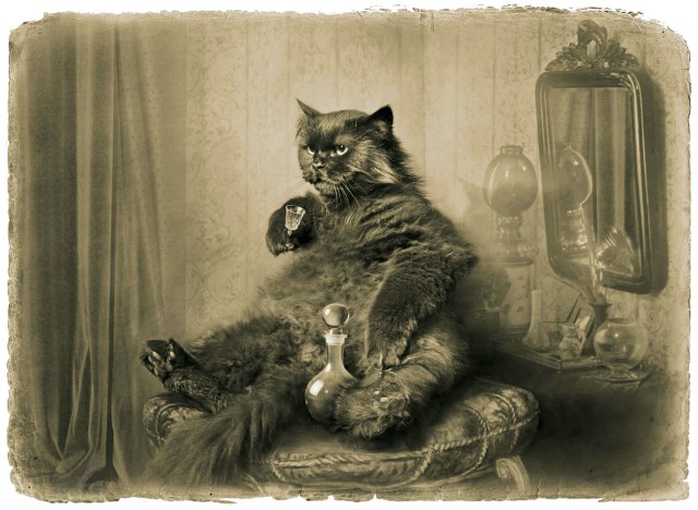 Наркоманских анекдотов с картинками