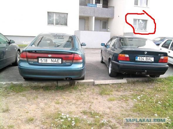 Найдите кота.