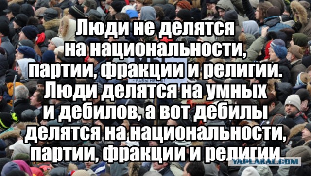 Следком РФ снял мультик об экстремизме в интернете. В соцсетях это посчитали запугиванием