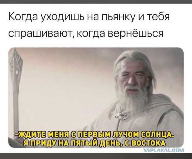 Немного бредового юмора на вечер субботы