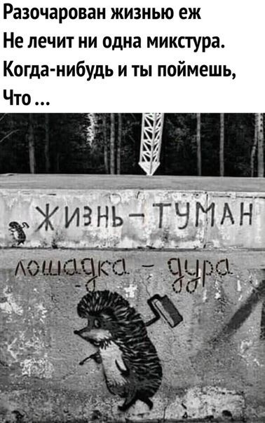 Мадам, купите ежа!