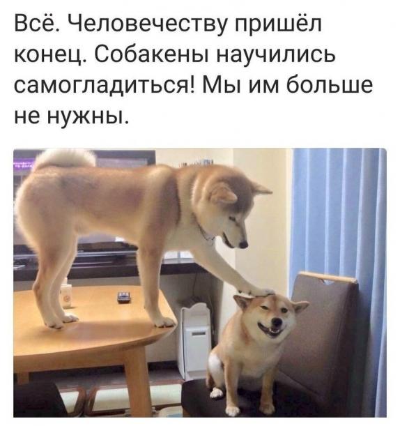 Веселые картинки
