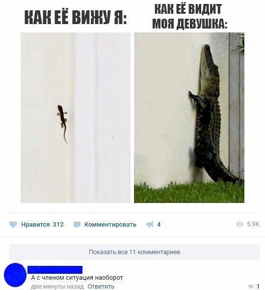 Нестандартный юмор