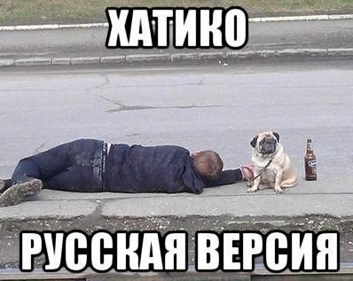 Подборка интересных и веселых картинок 17.07.19