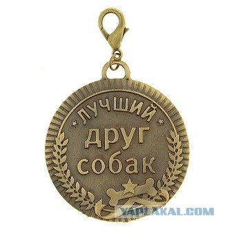 Маленькая одноглазая собачка Феня