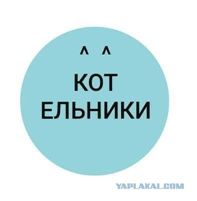 Чуток картинок!