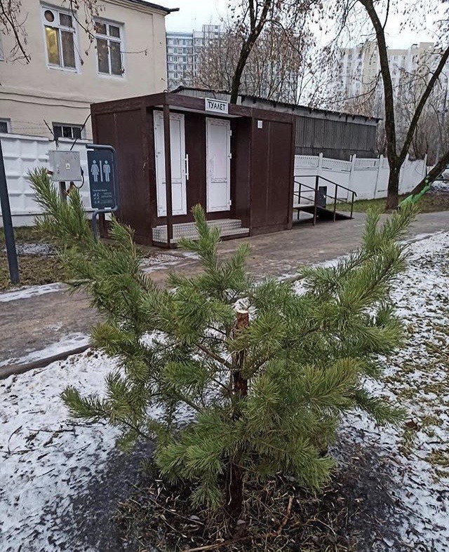 Недолго музыка играла. Жители моего микрорайона украли фигуру оленя, поставленную им же к Рождеству