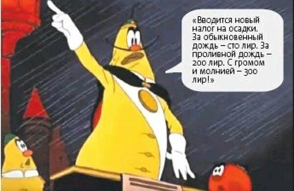 Суровая действительность