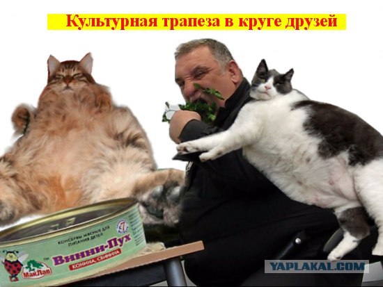 Фотожаба: Голодный охранник