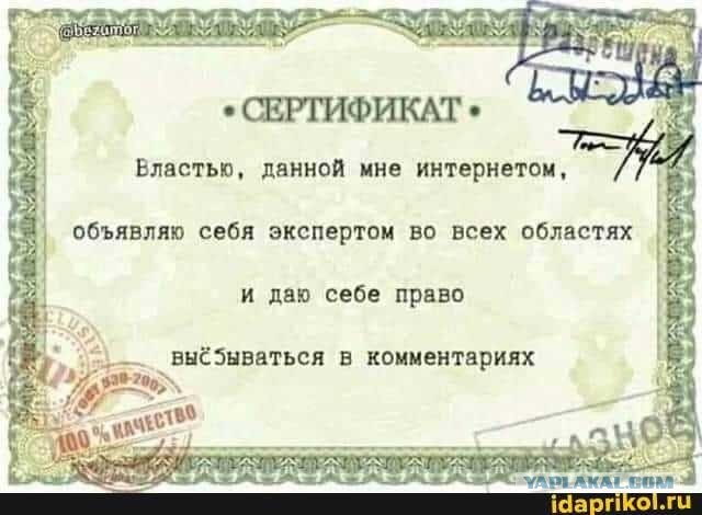 Бредзона 03.08.2020