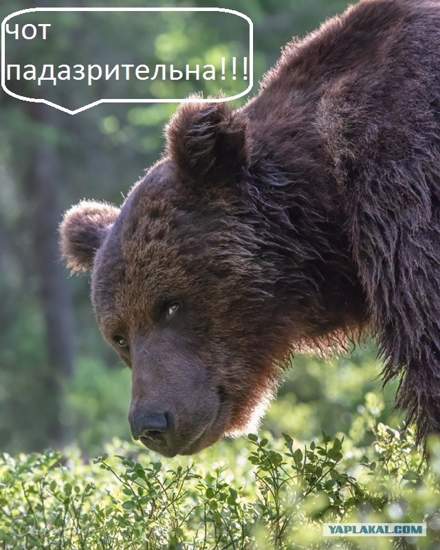 Интересный физический эффект - прыжок во время качки