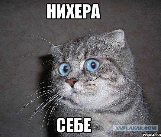 Под замес попали все