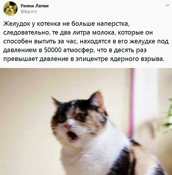 Картинки с надписями и всякие жизненные фразы 25.01.21