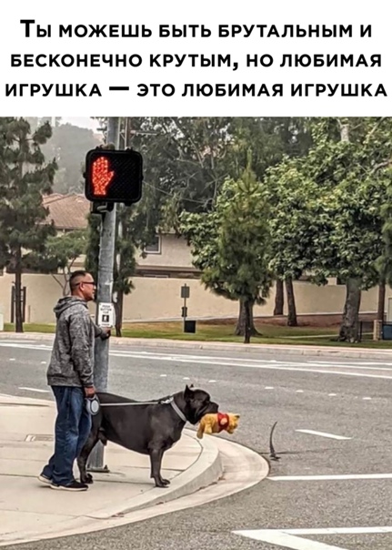 Картинки всякие 13.02.21
