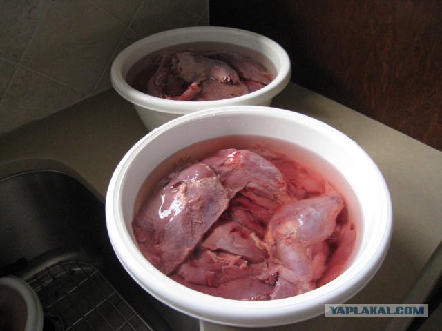 Приготовление голубей!