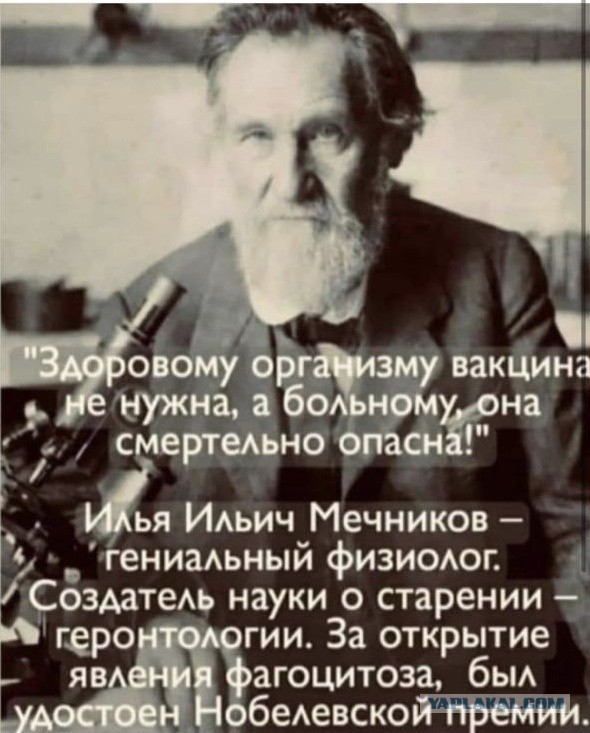 Для борьбы с коронавирусом будут внедрять нанотела