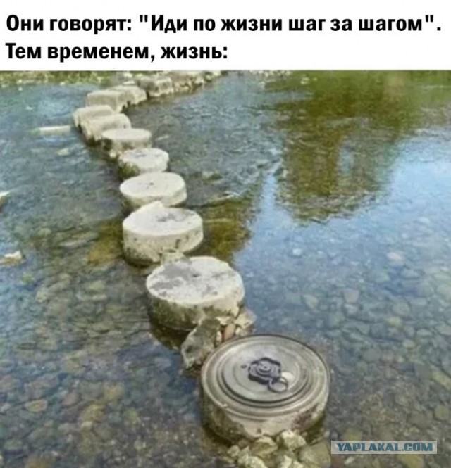 Кретинизмы из сети 13.08.2021