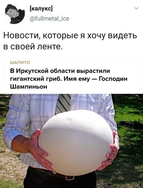 Так себе картинки 11.09.21