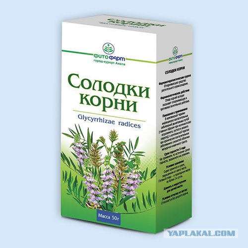 Господа и дамы...